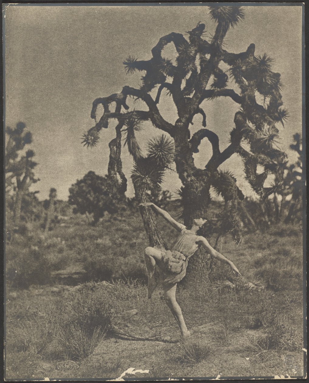 Inspiration de la danse - Louis Fleckenstein
