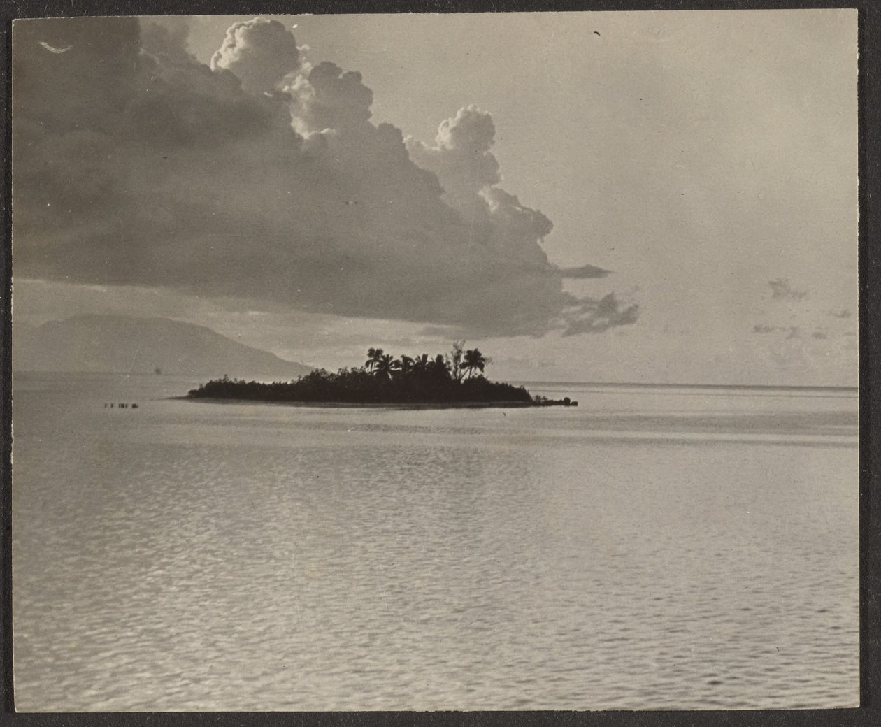 [Paysage insulaire] - Louis Fleckenstein