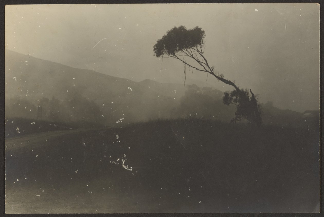 Laguna Beach - Louis Fleckenstein