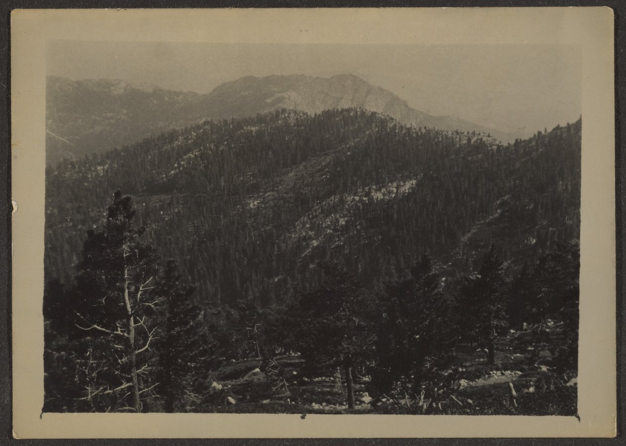 [Paysage] - Louis Fleckenstein