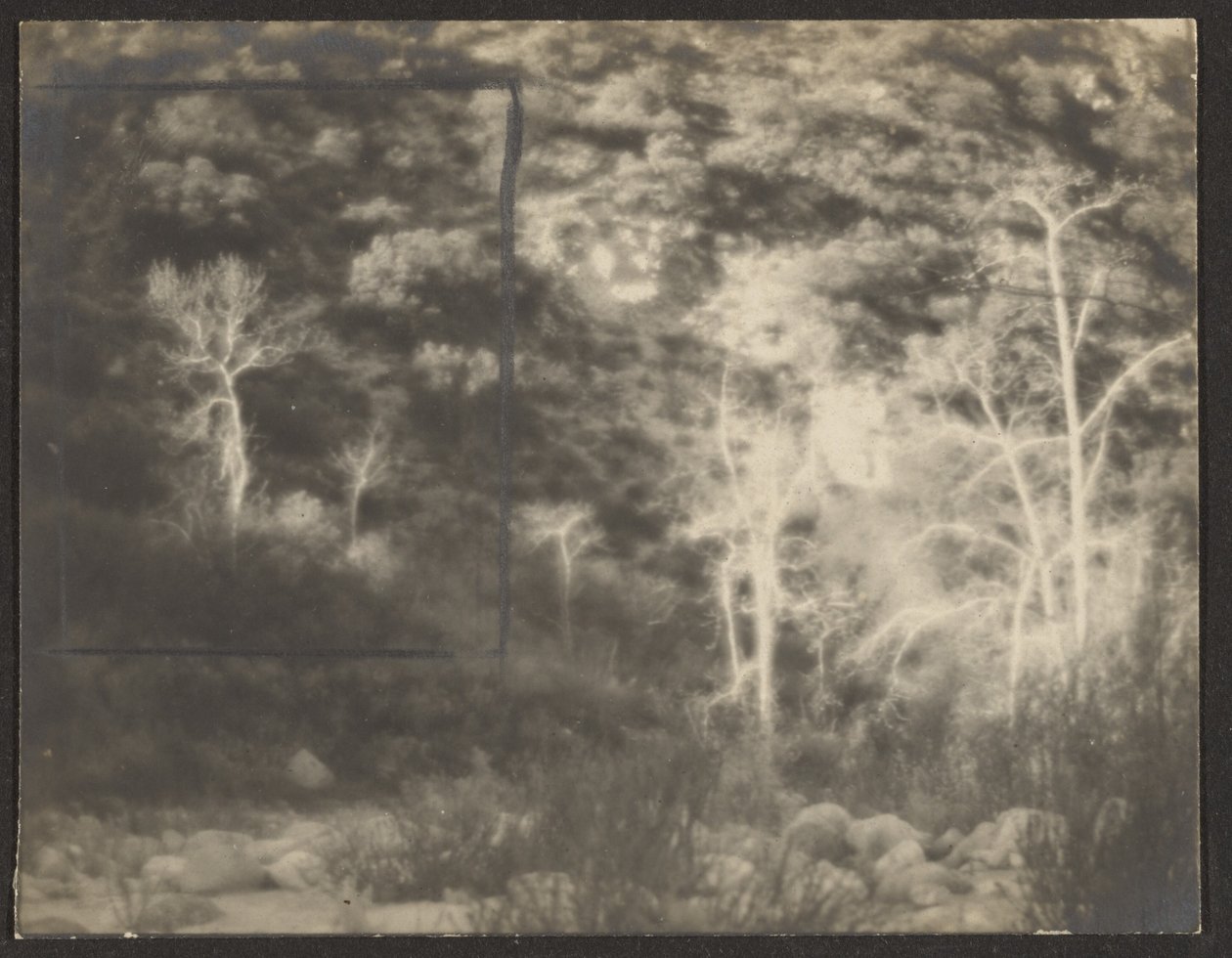 [Paysage avec des arbres lumineux] - Louis Fleckenstein
