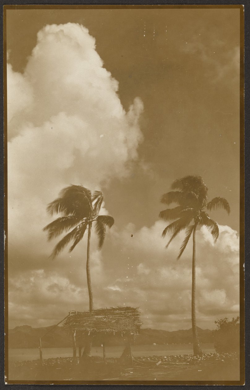Paysage aux palmiers - Louis Fleckenstein