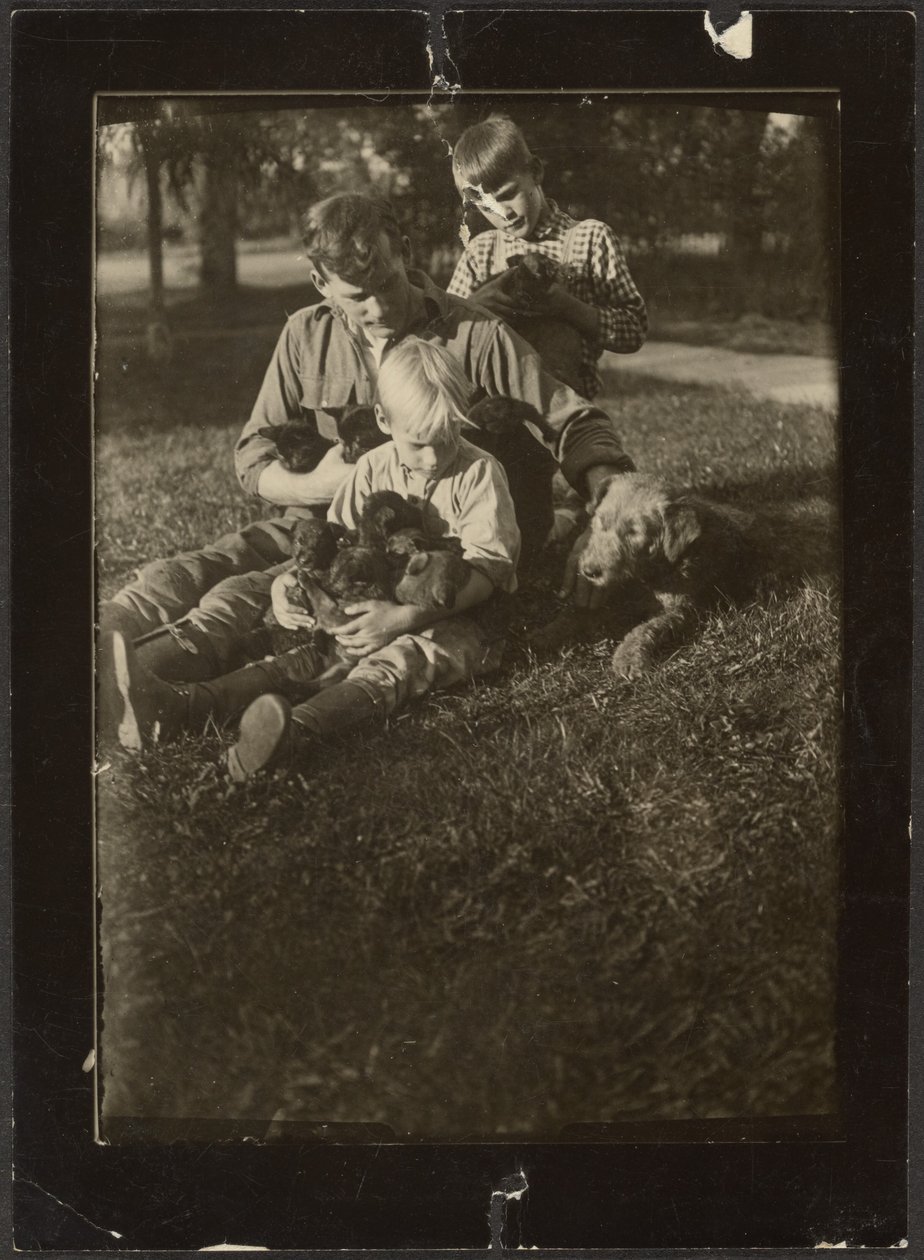 [Homme avec enfants et chiots dans la cour] - Louis Fleckenstein