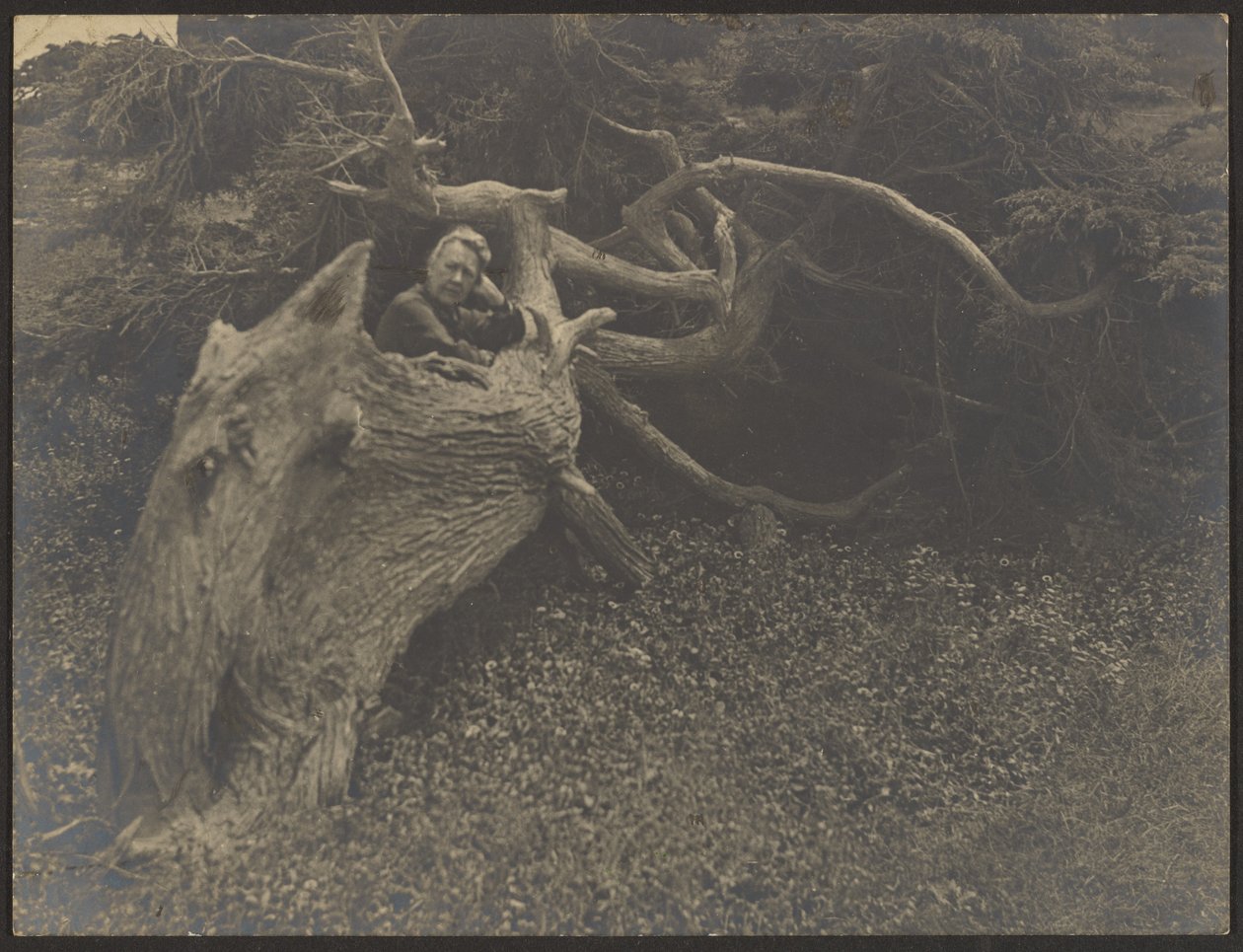 [Mme Fleckenstein appuyée contre un gros arbre tombé] - Louis Fleckenstein
