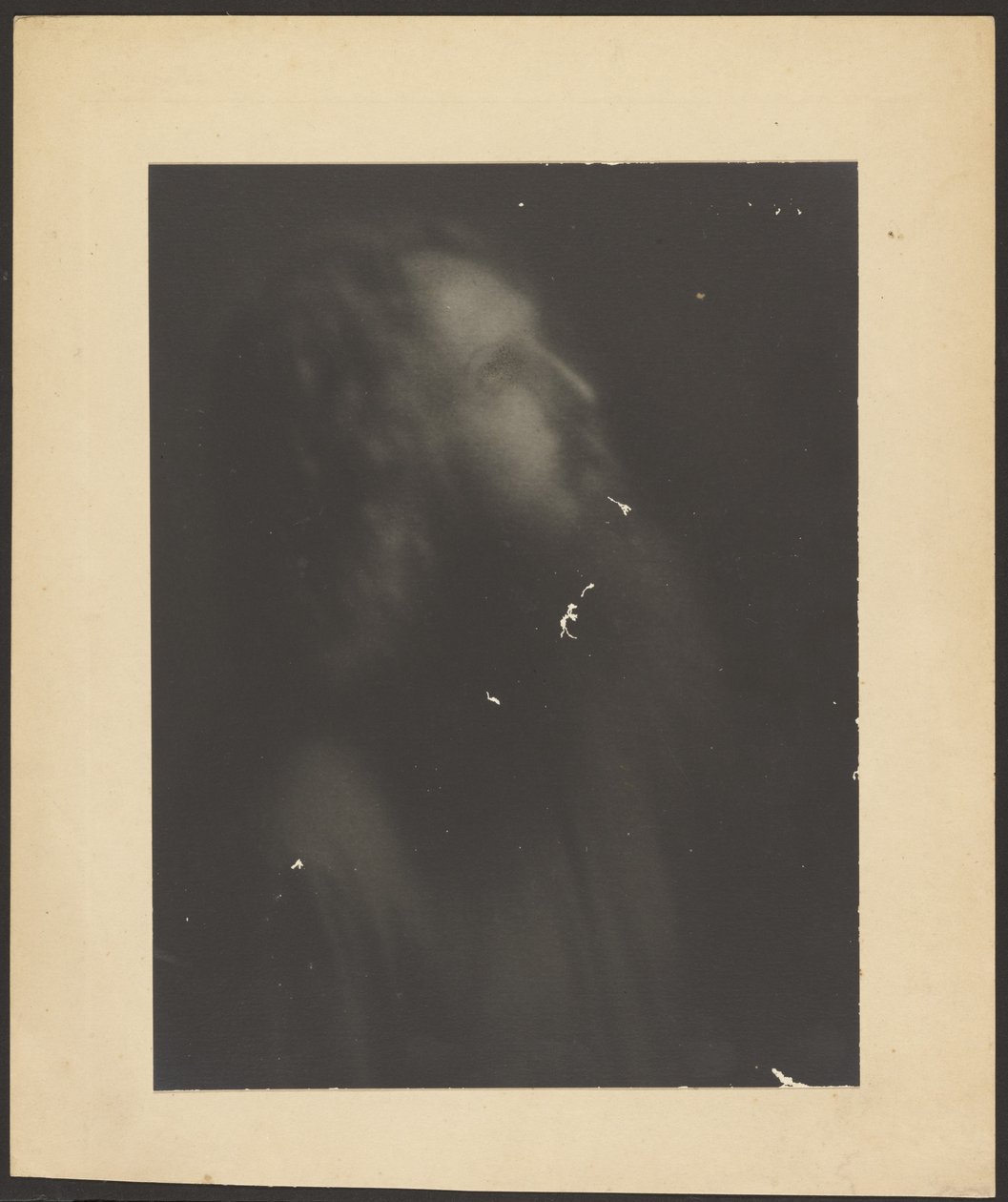 [Portrait d