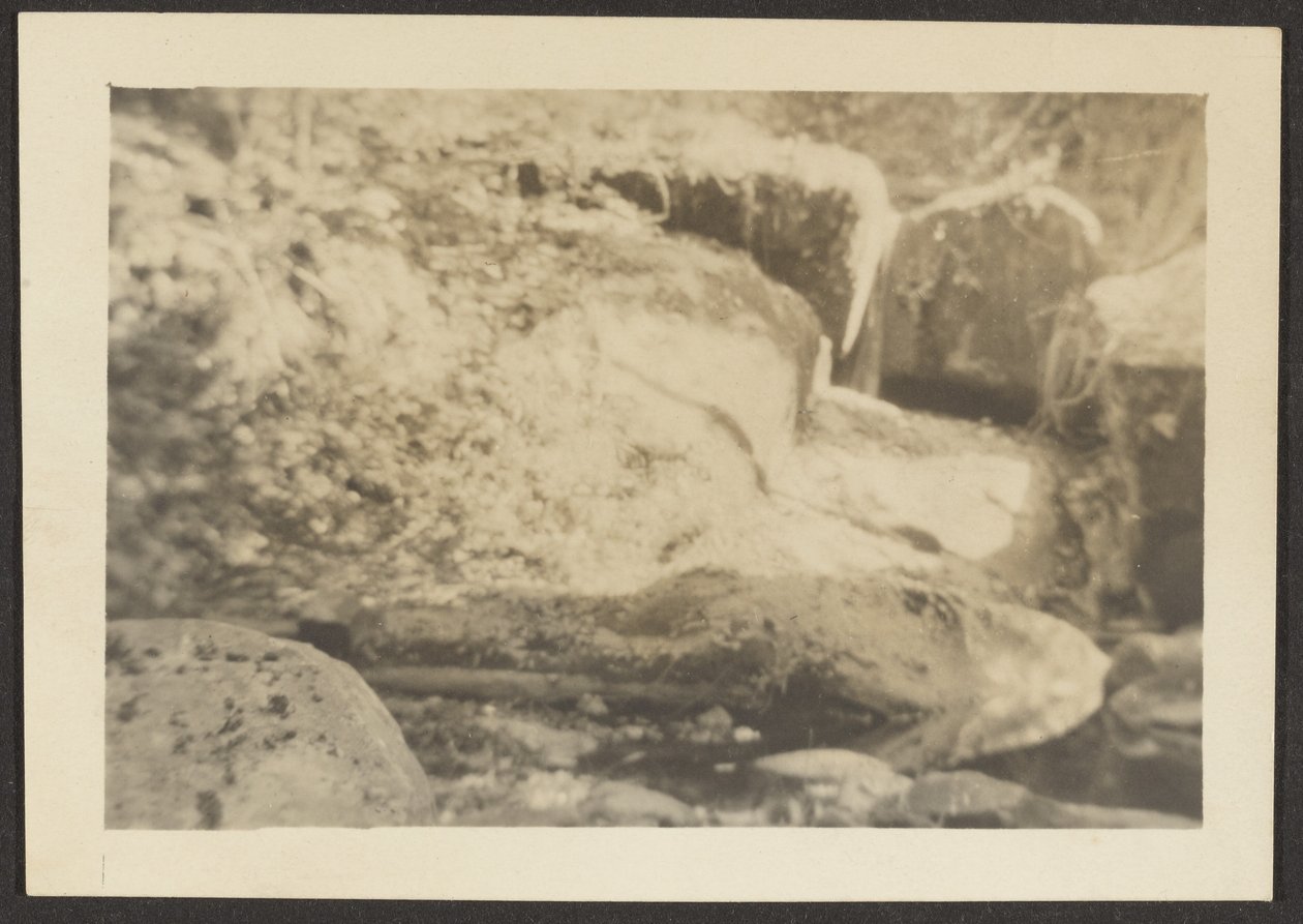 [Paysage rocheux] - Louis Fleckenstein