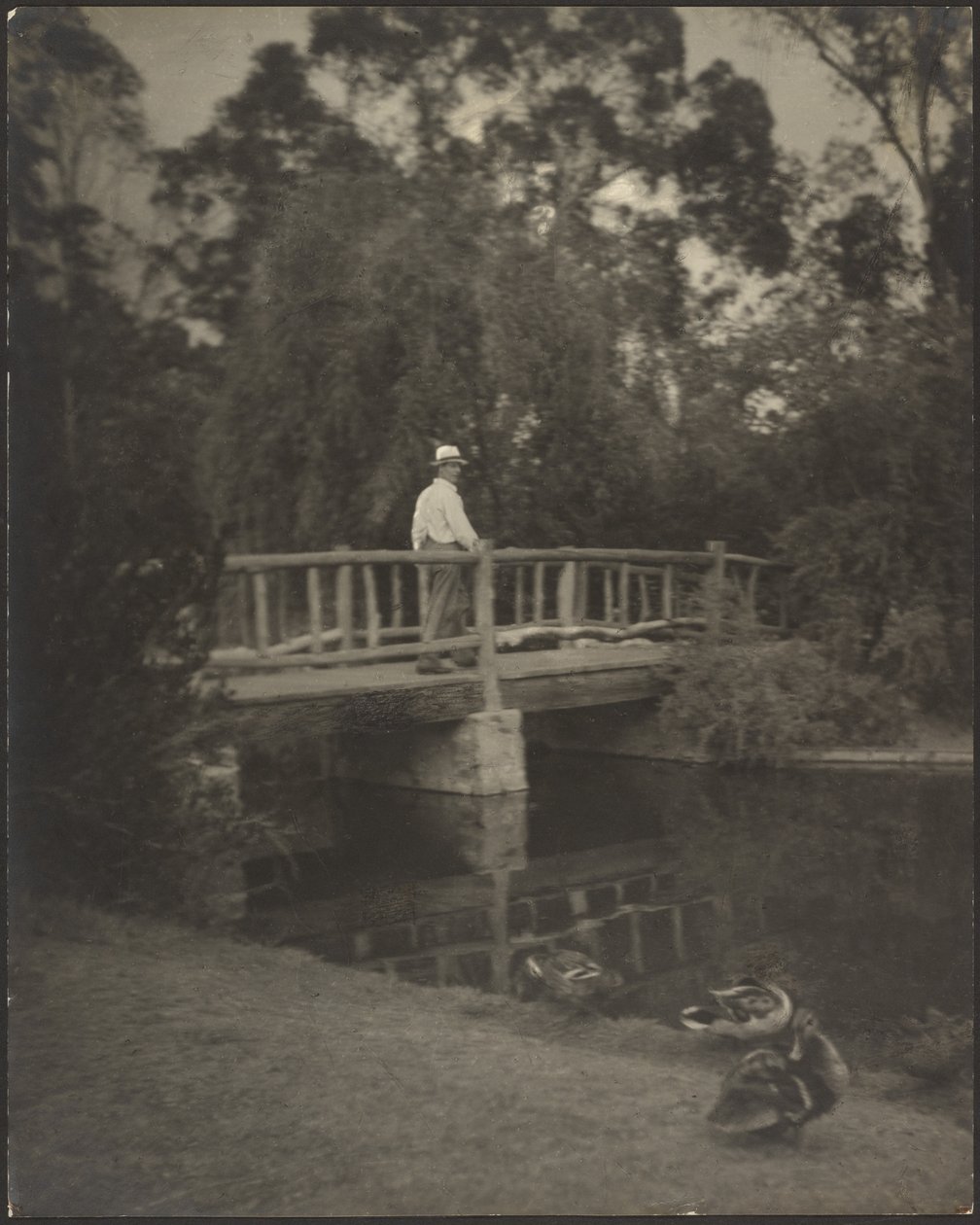 Pont rustique - Louis Fleckenstein