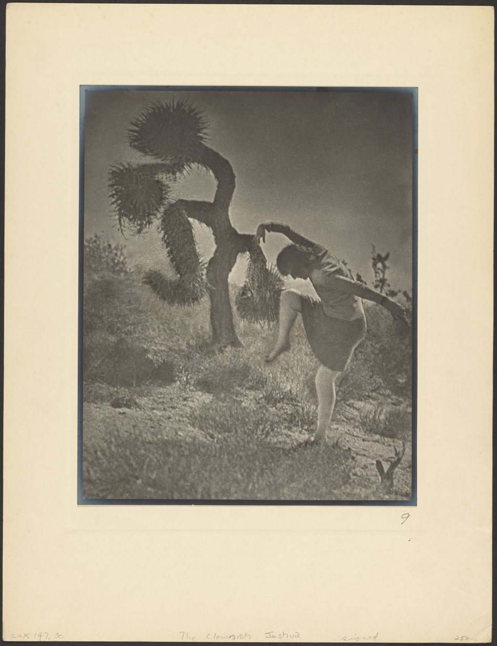 Joshua le bouffon - Louis Fleckenstein