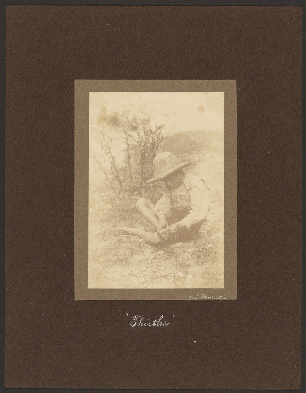 Chardons - Louis Fleckenstein