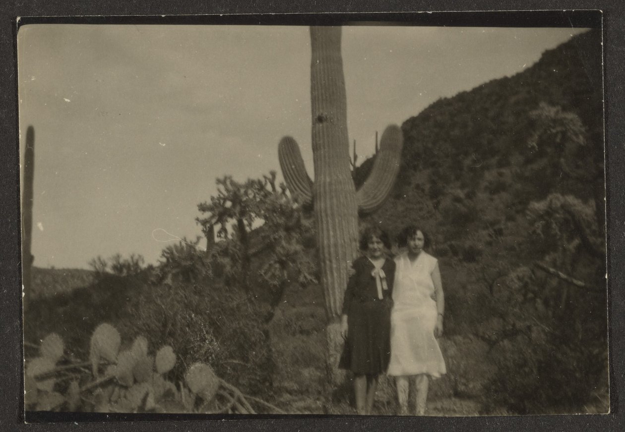 Deux femmes devant un cactus - Louis Fleckenstein