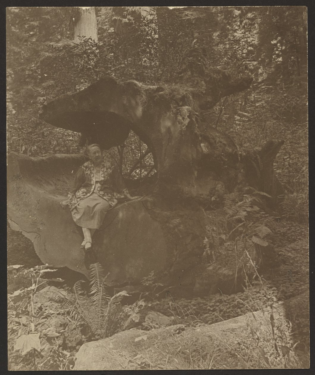 [Femme assise sur des rochers, peut-être Mme Fleckenstein] - Louis Fleckenstein