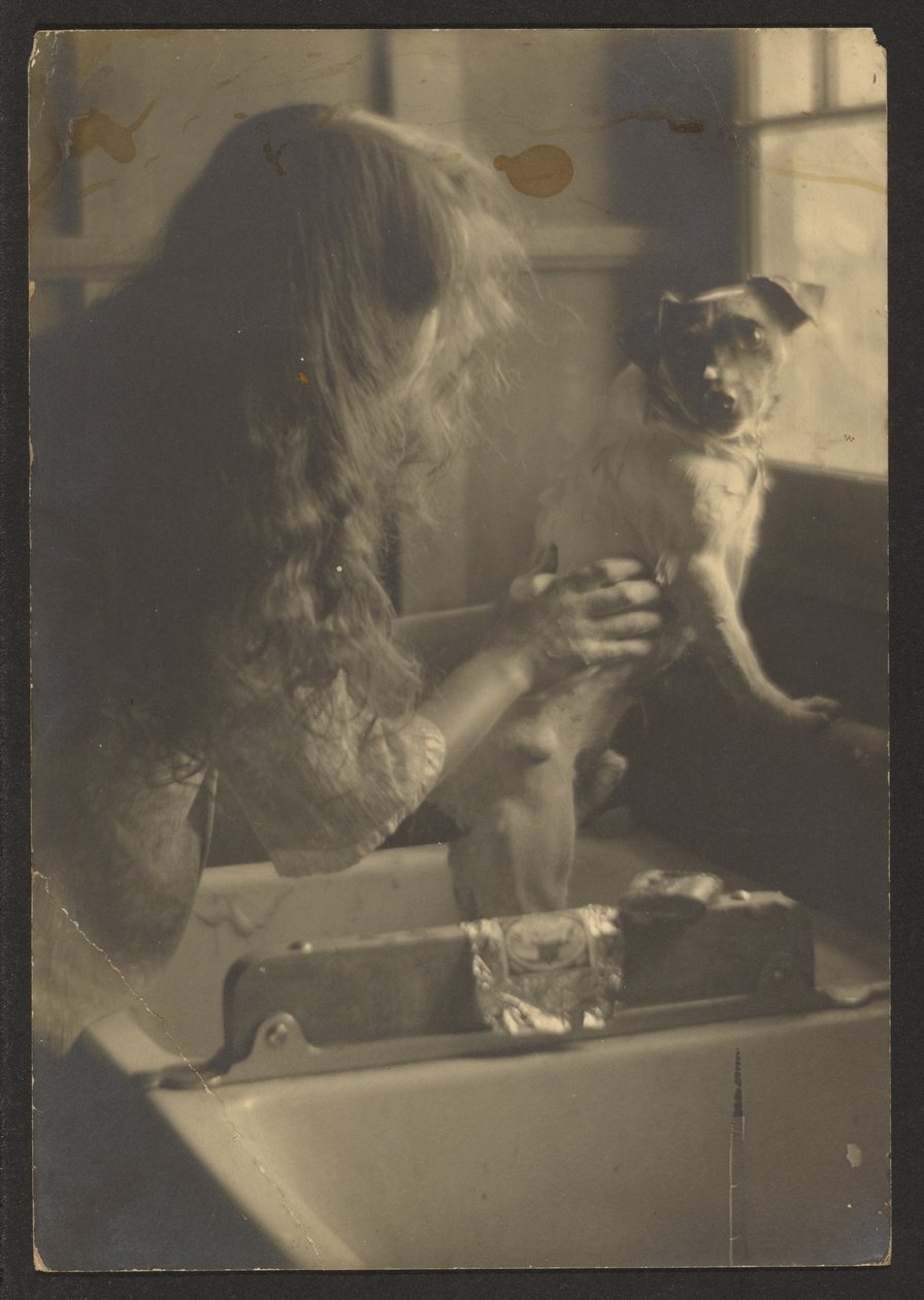 Femme lavant un chien dans un évier - Louis Fleckenstein