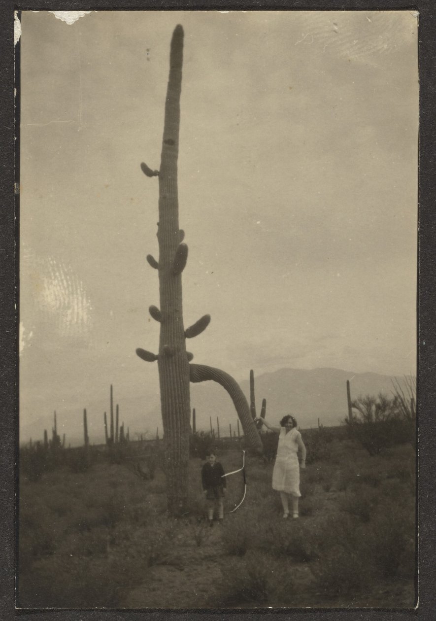 [Femme et enfant avec un cactus] - Louis Fleckenstein