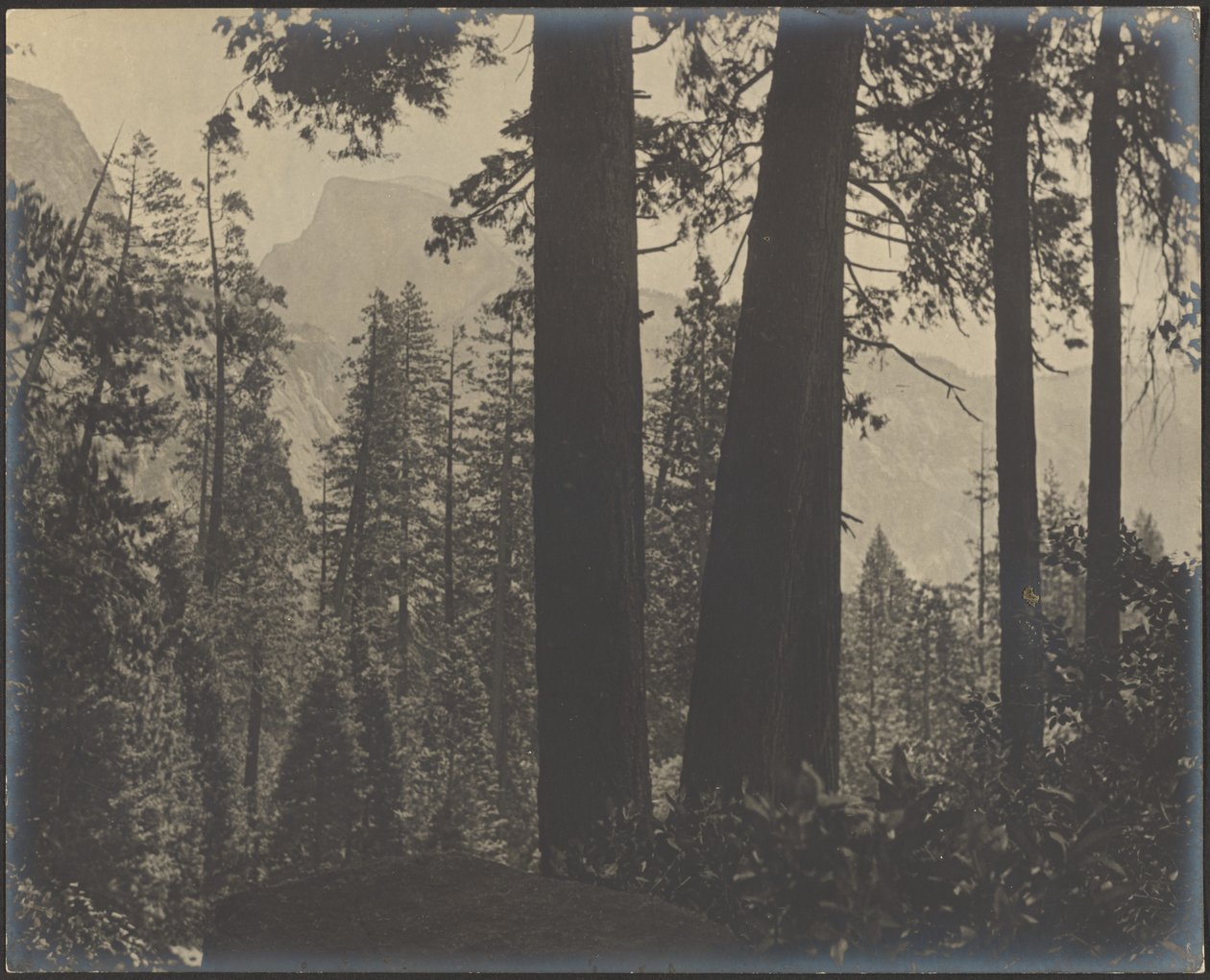 [Paysage boisé] - Louis Fleckenstein