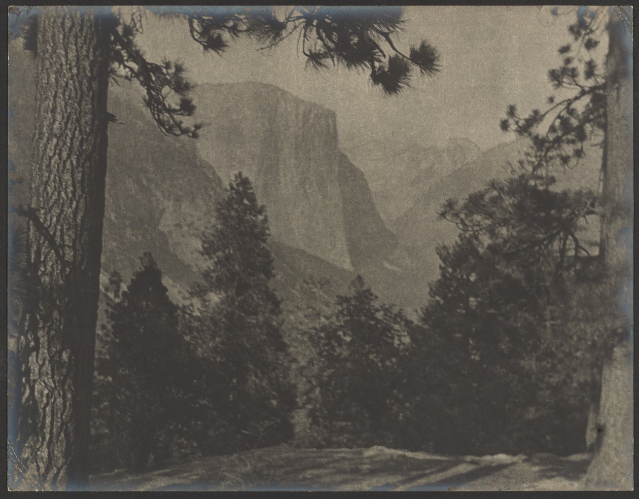 Yosemite, à travers les pins - Louis Fleckenstein