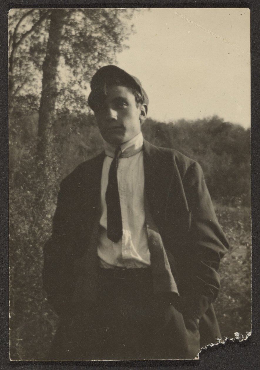[Jeune homme dans un champ] - Louis Fleckenstein