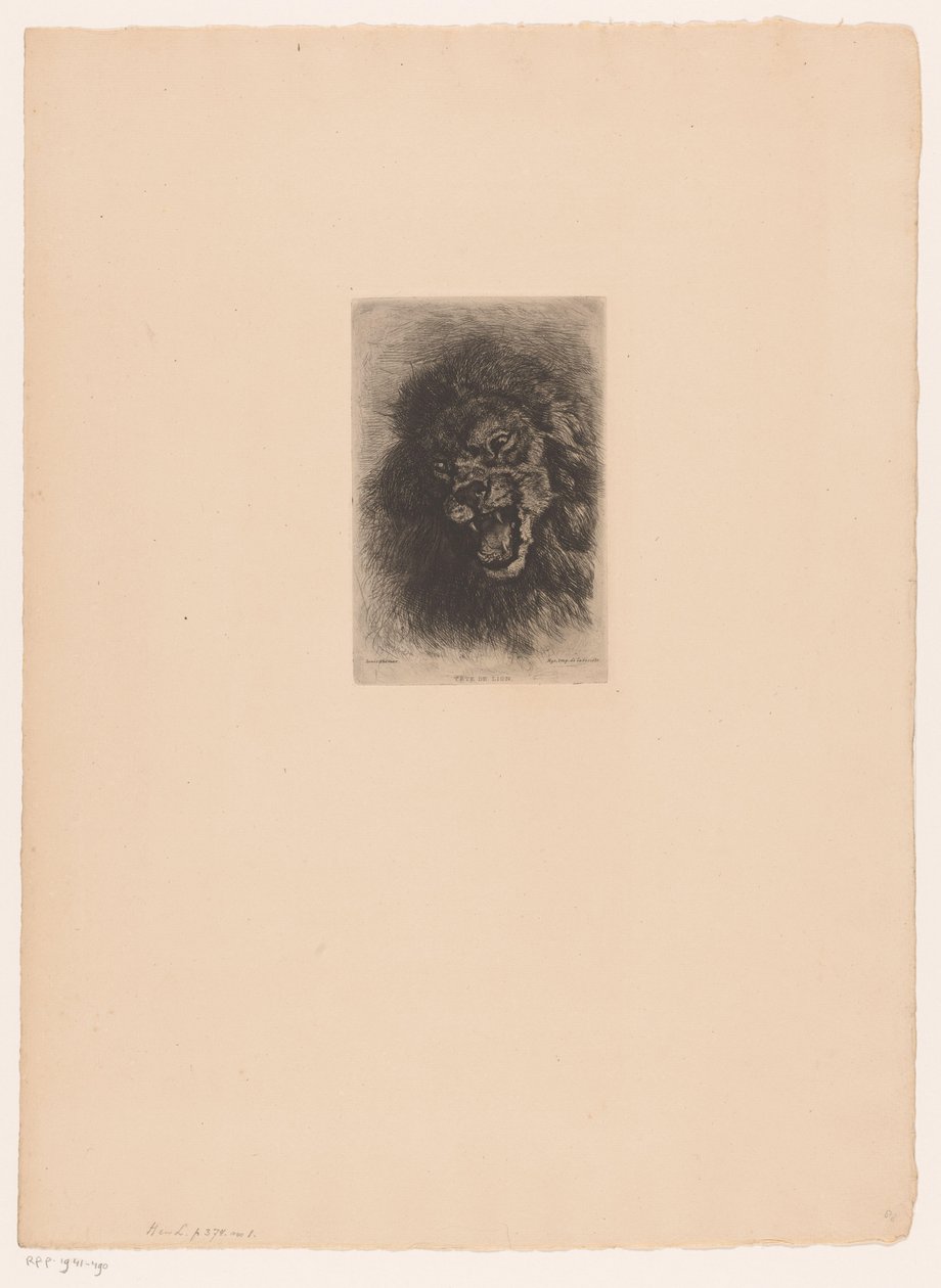 Tête de lion - Louis Ghémar