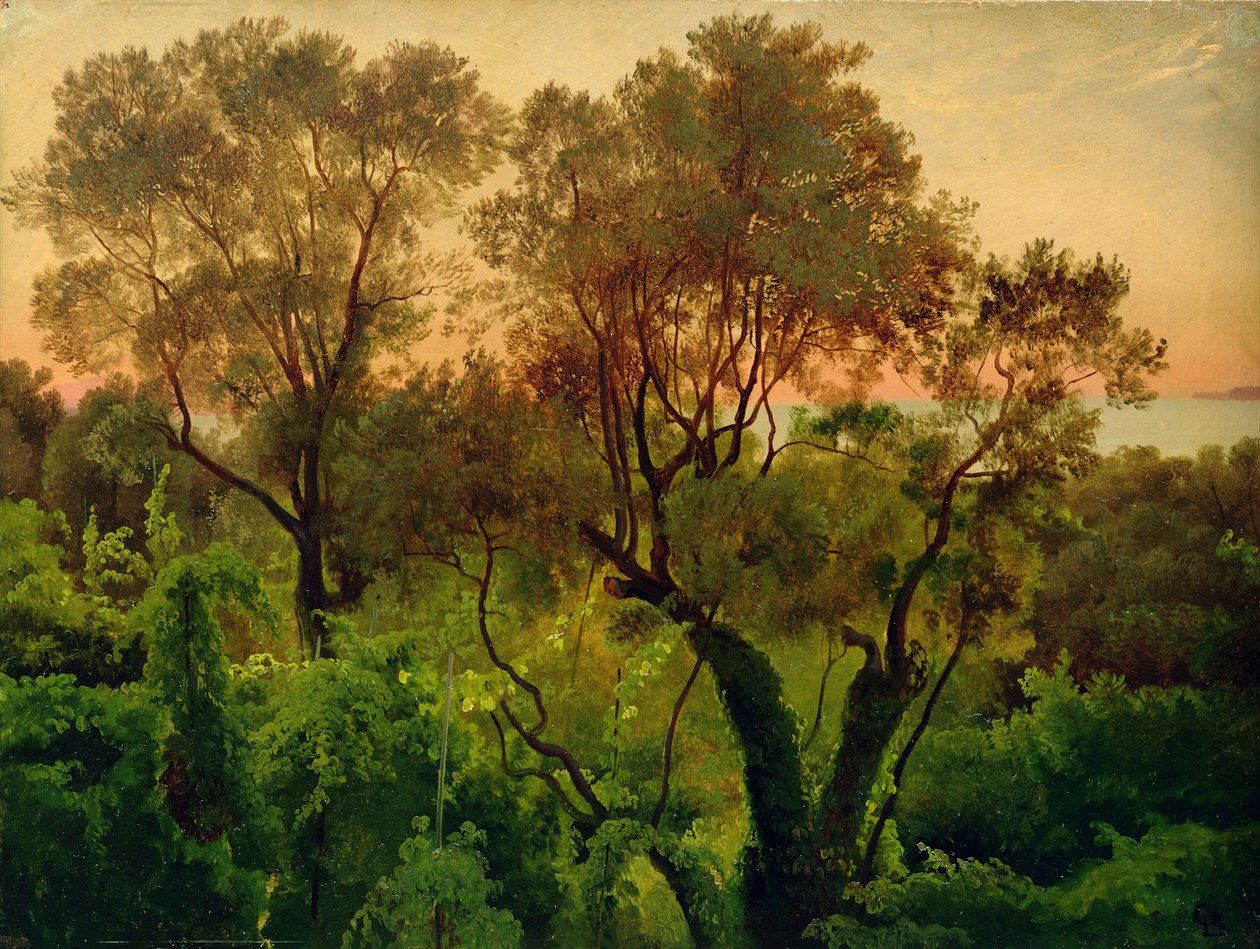 Pente avec oliviers - Louis Gurlitt