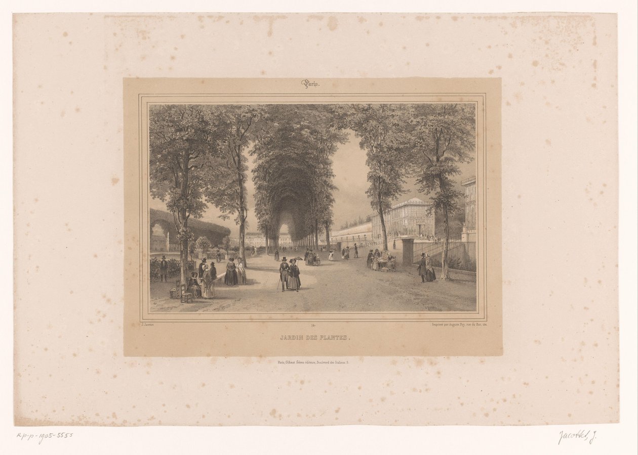 Vue du Jardin des Plantes - Louis Julien Jacottet