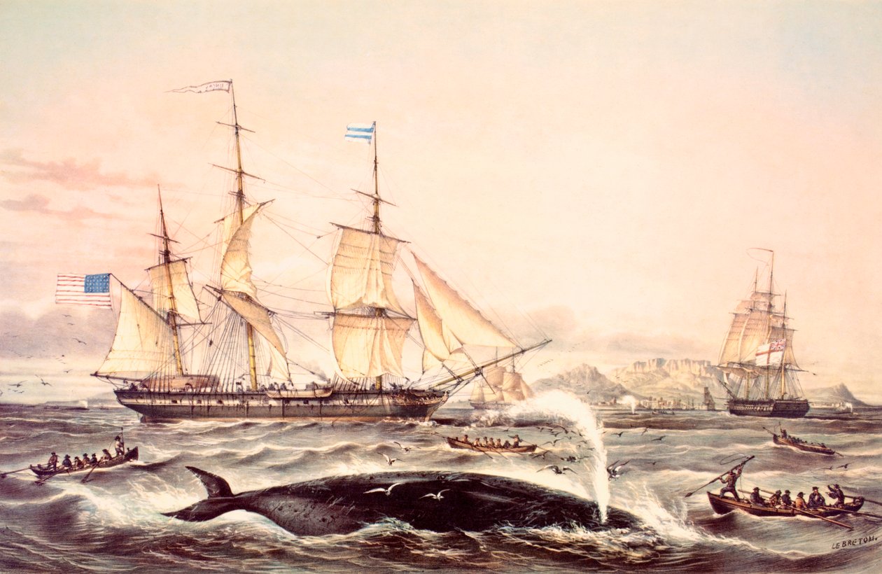 Chasse à la baleine au large du Cap de Bonne-Espérance - Louis Le Breton
