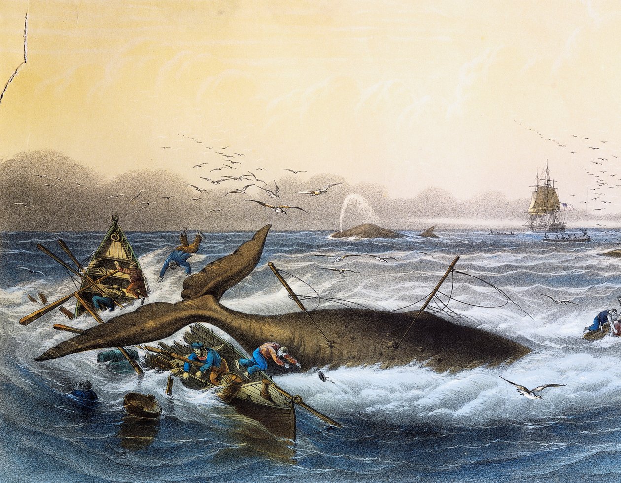 Chasse à la baleine dans les mers du Sud, lithographie en couleur par Louis Lebreton - Louis Le Breton