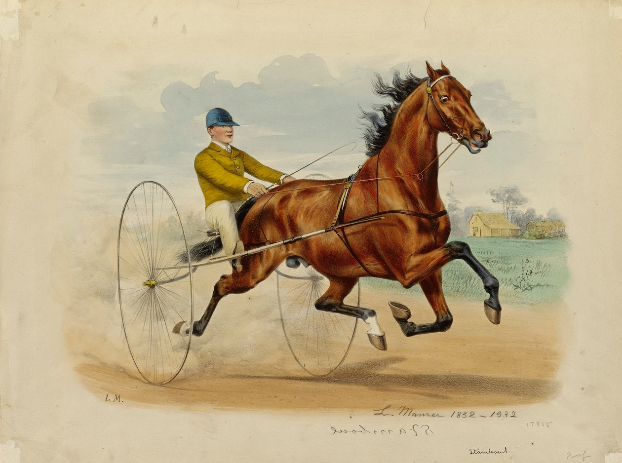 Stamboul - Louis Maurer