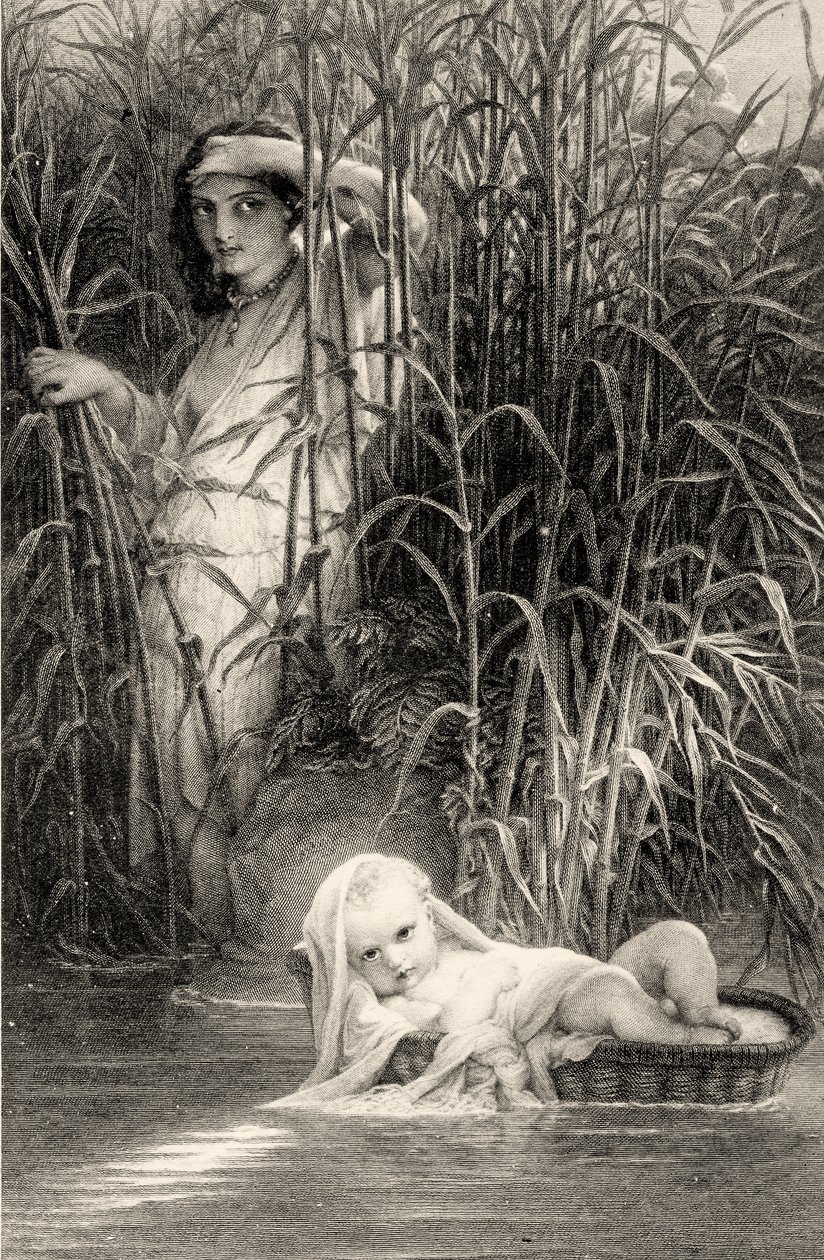 Moïse découvert sur le Nil - Louis Pierre Henriquel Dupont