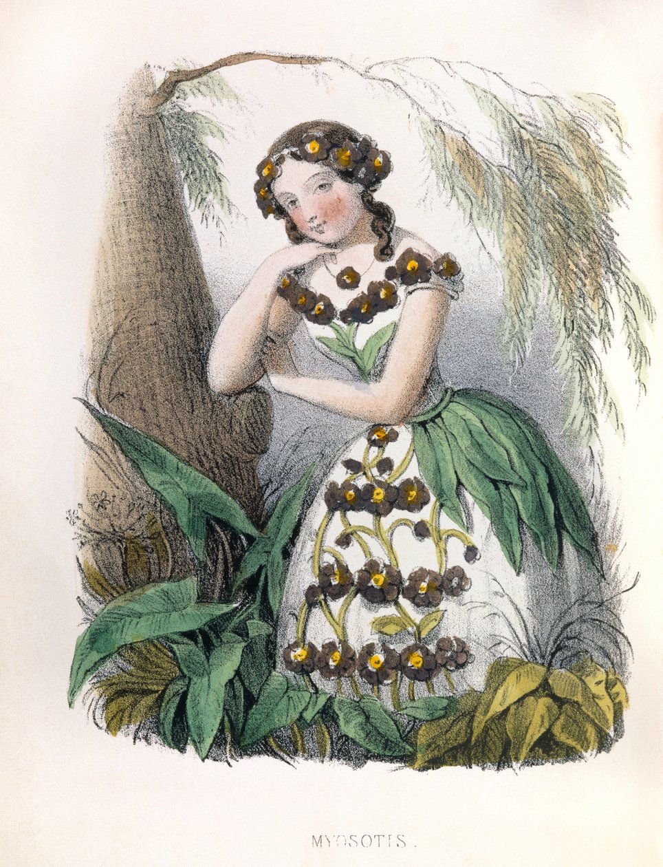  - Louis Simon (1810-1870) Lassalle