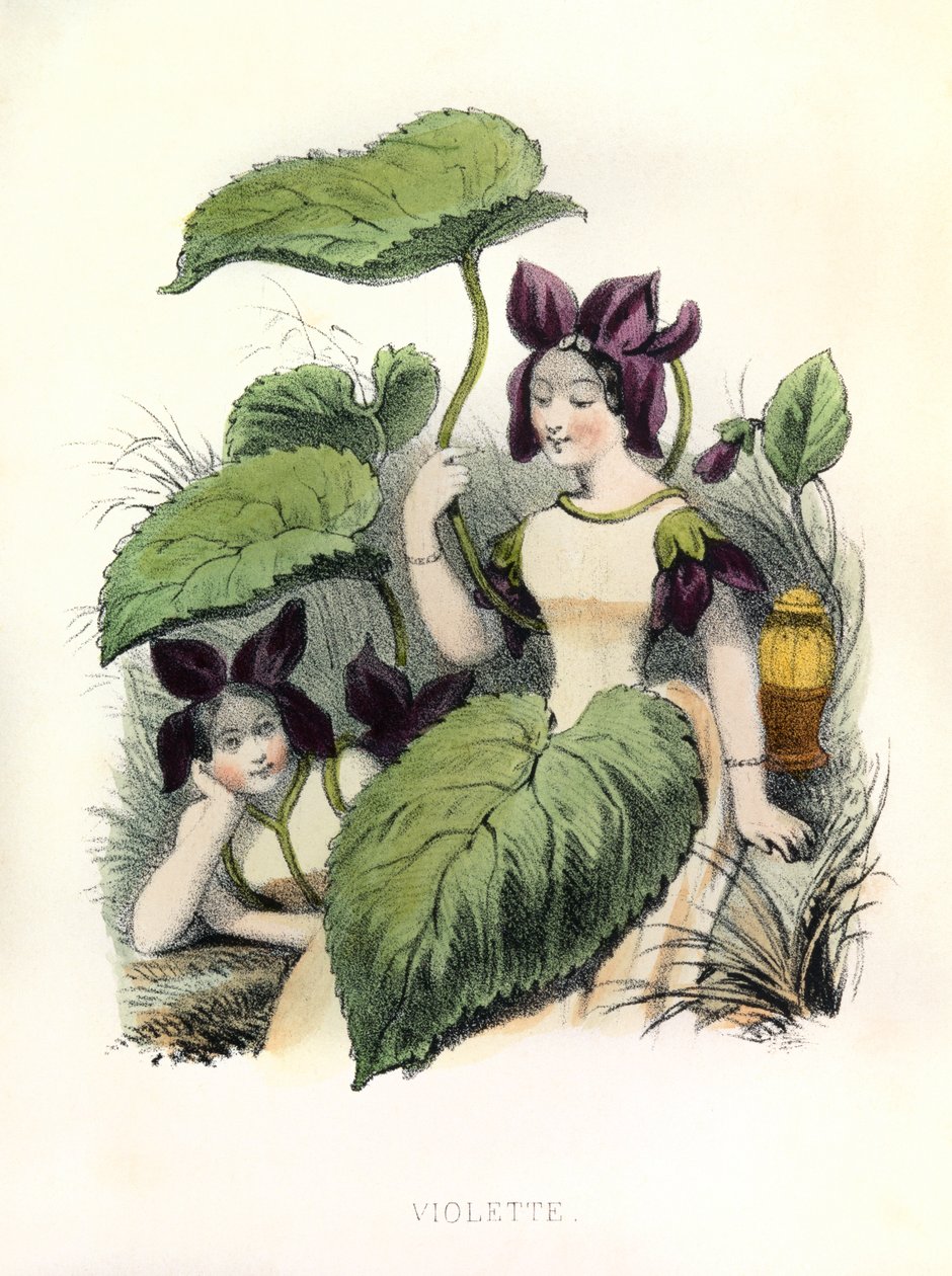  - Louis Simon (1810-1870) Lassalle