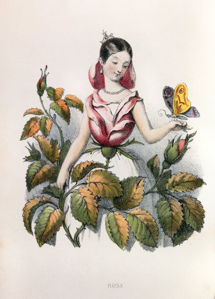  - Louis Simon (1810-1870) Lassalle