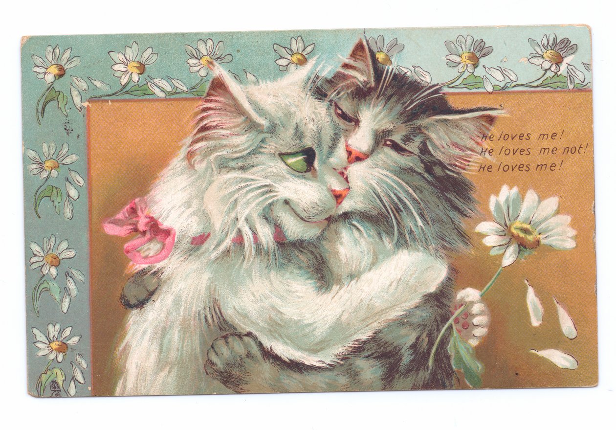 Carte postale édouardienne de deux chats s