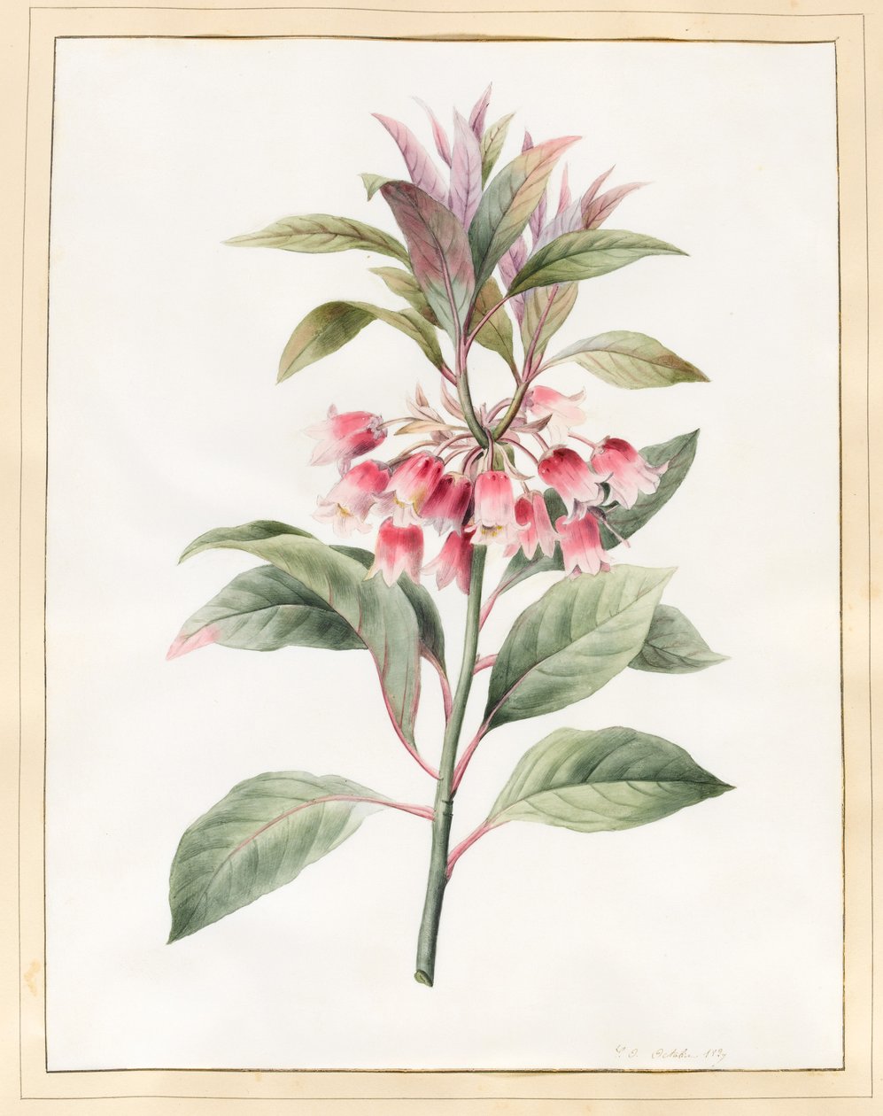 Sans titre, 1827 - Louise DOrleans