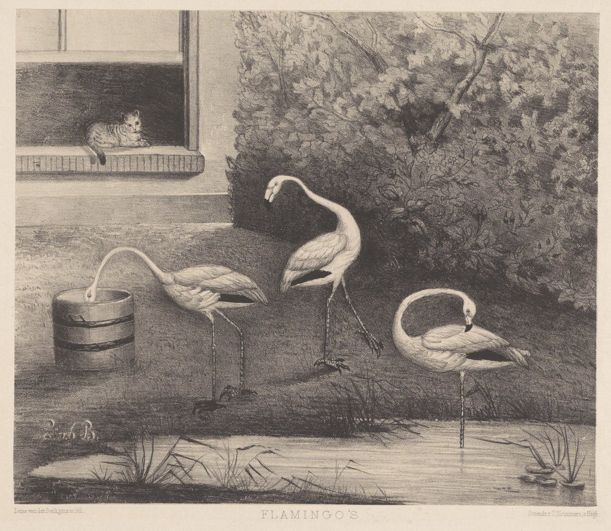 Trois flamants roses et un chat - Louise Marie Françoise van der Beek