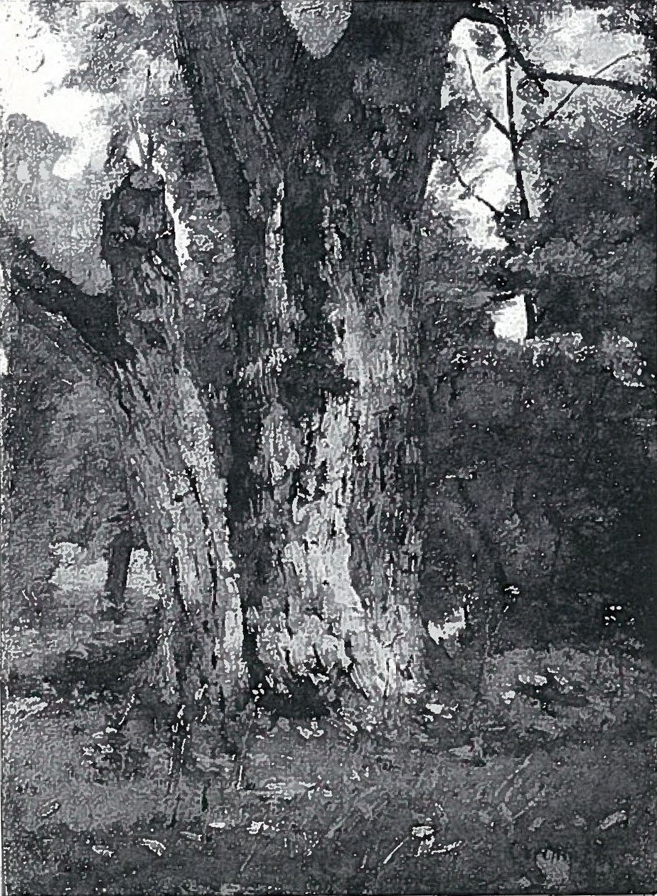 Parc Aweider à Königsberg - Lovis Corinth