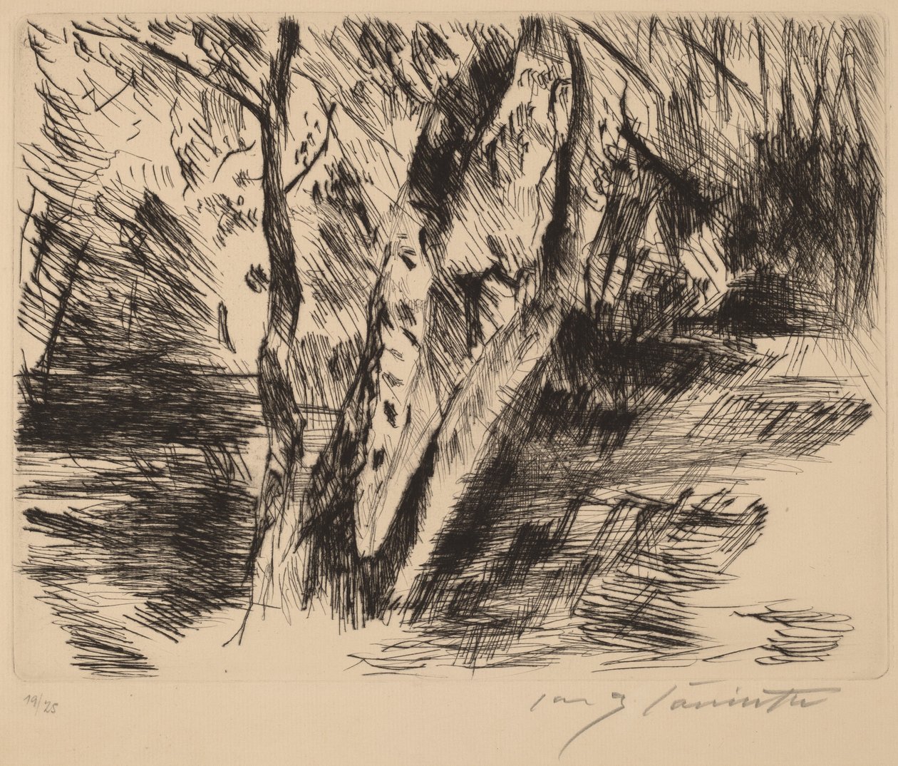 Bouleaux dans le Tiergarten - Lovis Corinth