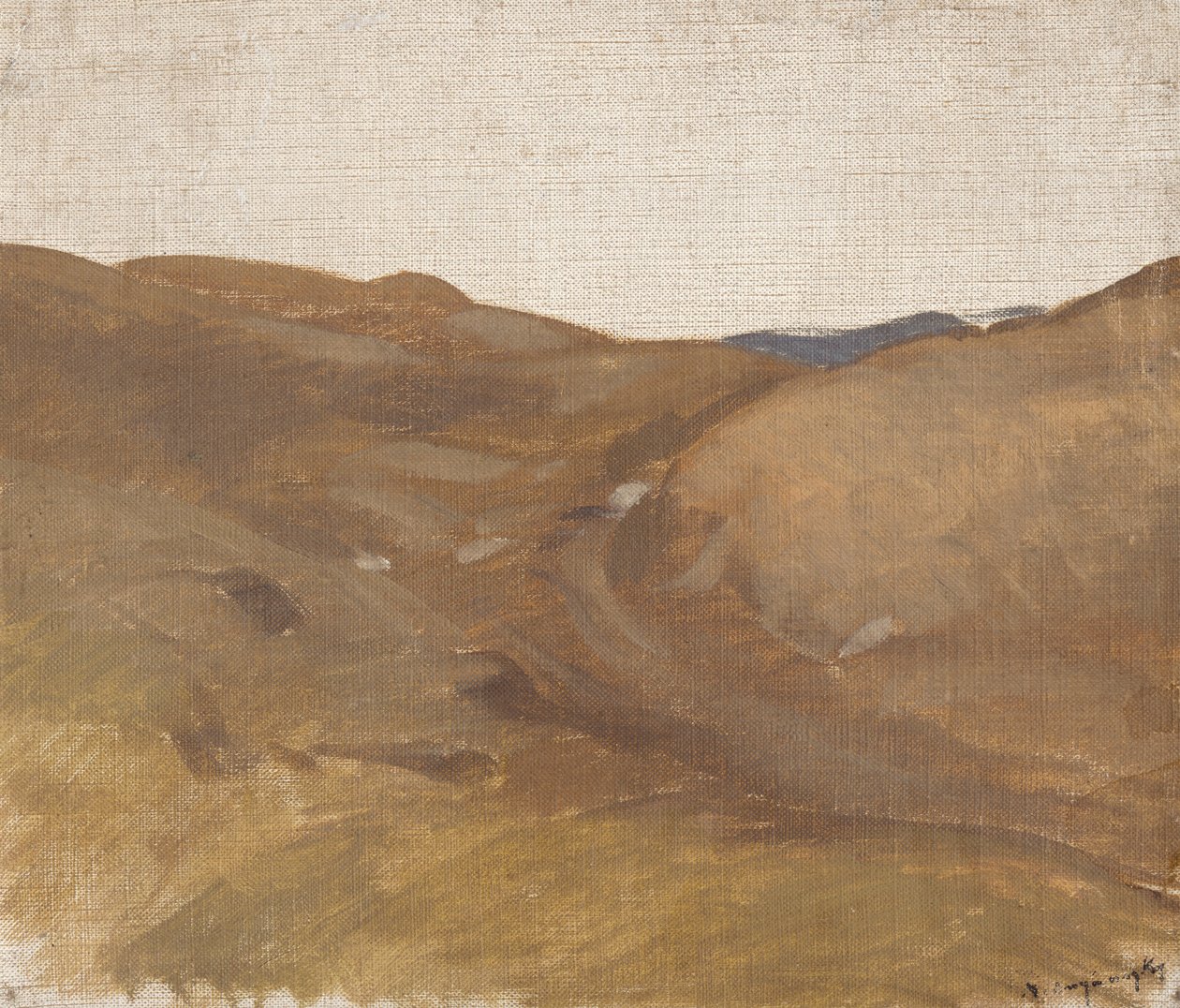 Paysage avec ciel blanc - Laszlo Mednyanszky