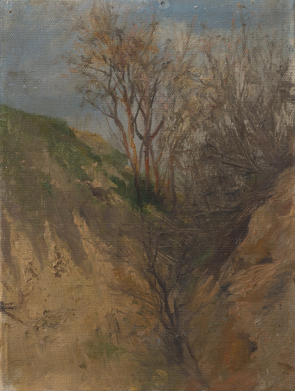 Fossé - Laszlo Mednyanszky