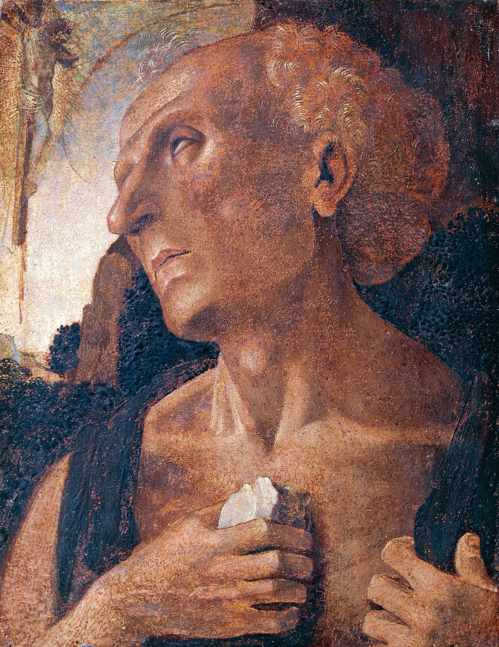 Saint Jérôme - Luca (attr.to) Signorelli