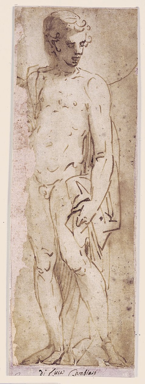 Jeune homme avec manteau debout dans une niche - Luca Cambiaso