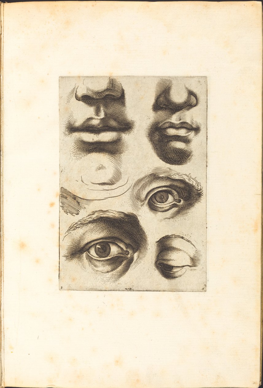Impression du livre de dessin - Luca Ciamberlano