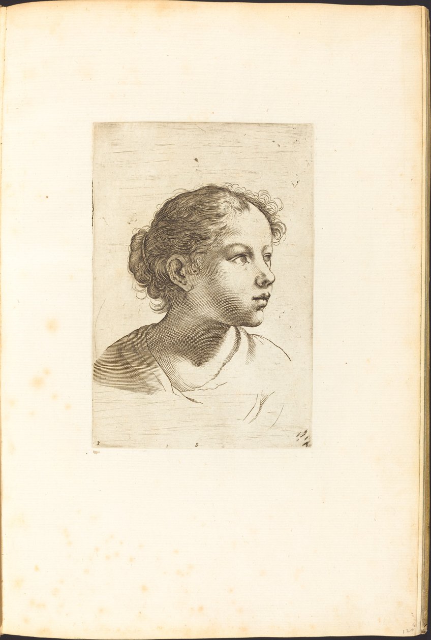 Impression du livre de dessin - Luca Ciamberlano