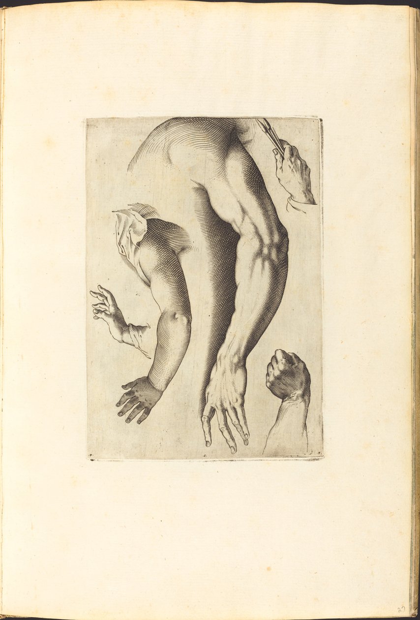 Impression du livre de dessin - Luca Ciamberlano