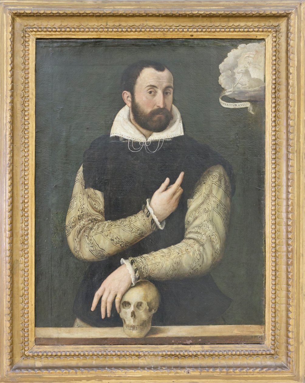 Portrait de Gerolamo Rossi - Luca Longhi
