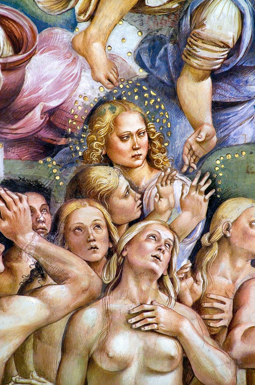 Élus, du cycle de fresques du Jugement dernier - Luca Signorelli