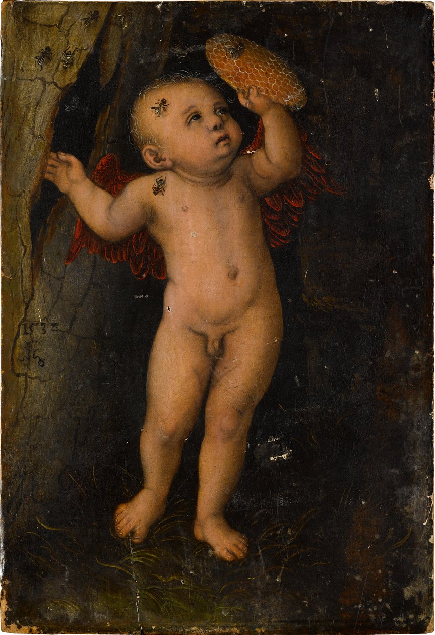 Amor als Honigdieb (Fragment) - Lucas Cranach