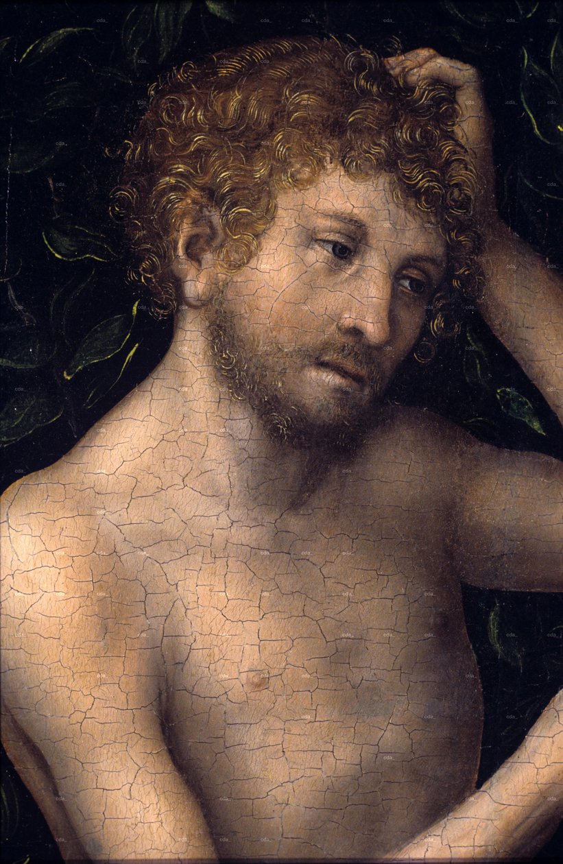 Adam et Eve








































 détail - Lucas Cranach the Elder