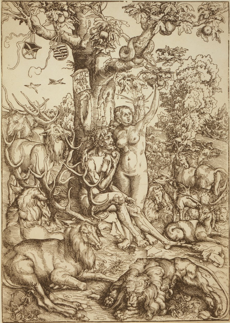 Adam et Eve au paradis - Lucas Cranach the Elder