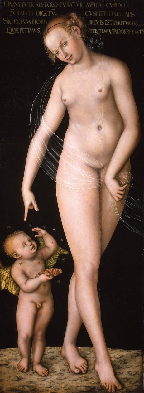 Allemand : Venus und Amor als Honigdieb Venus avec Cupidon volant du miel - Lucas Cranach the Elder