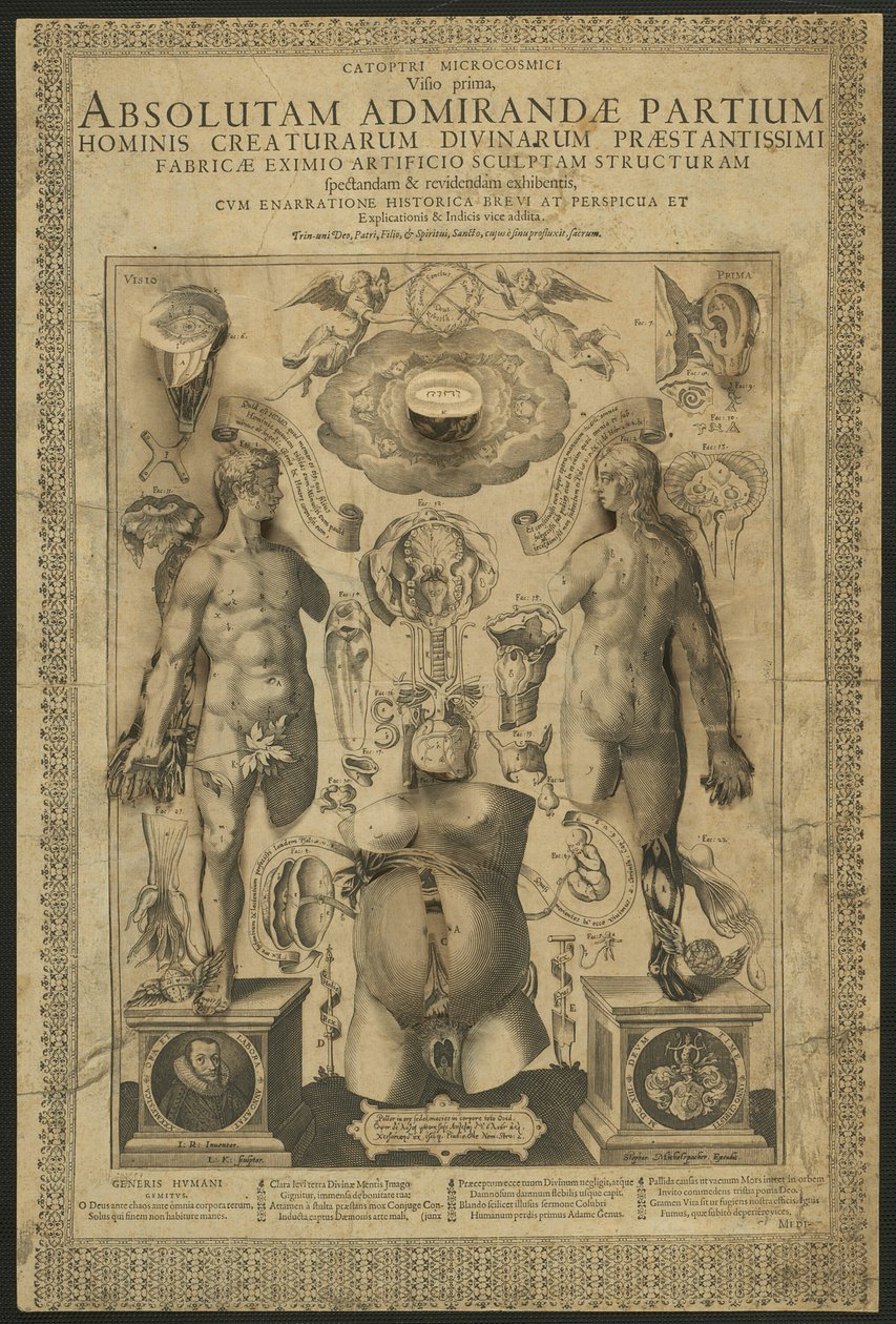 Première vision, des Miroirs du microcosme - Lucas Kilian