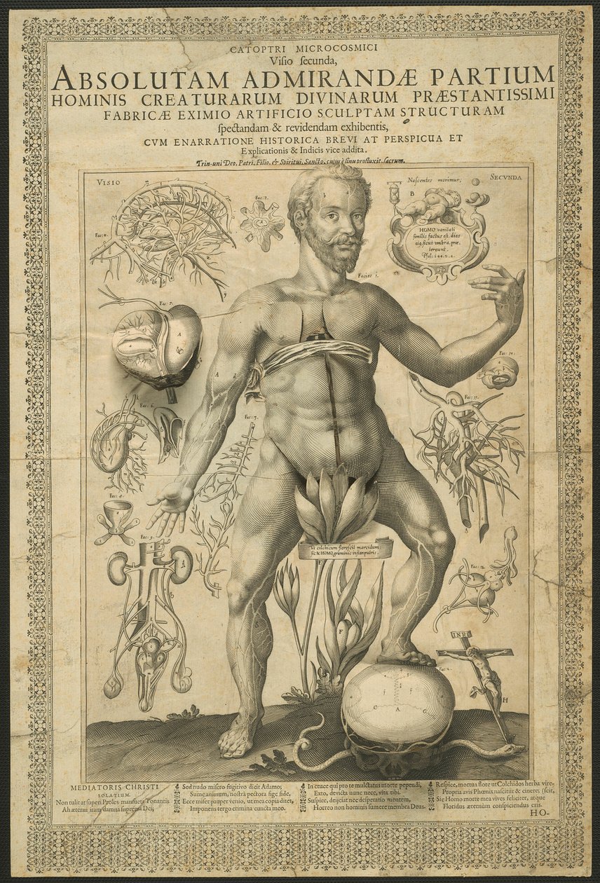 Deuxième vision, de Miroirs du microcosme - Lucas Kilian
